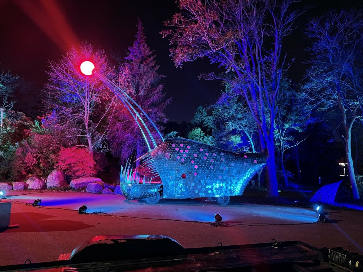 Lumen What to Expect at Waterloo's Amazing Illuminated Art Festival
