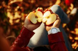 Celebrate Fall at St. George Apple Fest: What to See and Do This Weekend