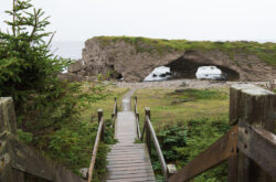 Explore Arches Provincial Park Where Ocean-Sculpted Rock Formations Meet Starry Skies