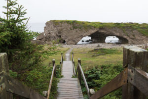 Explore Arches Provincial Park Where Ocean-Sculpted Rock Formations Meet Starry Skies