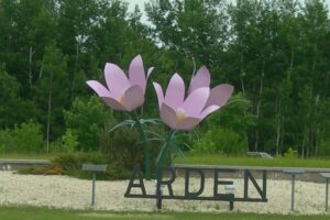 Crocuses, Swinging Bridge & More: 9 Reasons to Visit Arden