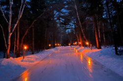 Fire & Ice Nights Light Up Arrowhead Park's Forest Skating Trail Beginning Jan 16