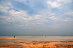 Athabasca Sand Dunes Provincial Park 7
