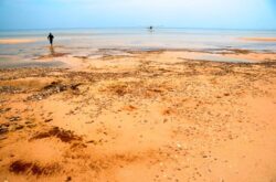 Summer Adventures in Northern Saskatchewan
