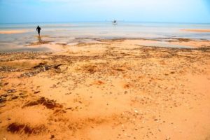 Summer Adventures in Northern Saskatchewan