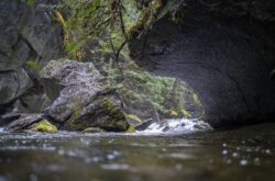 Why You Should Visit Little Huson Caves Regional Park on Vancouver Island