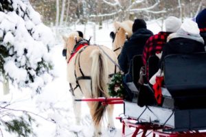 25 Outdoor Winter Adventures in Muskoka