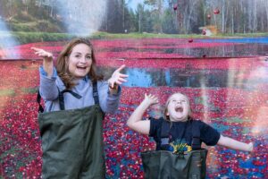 Bala Cranberry Festival Returns This Weekend: What to See, Eat and Do in Muskoka