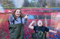Ontario’s Famous Bala Cranberry Festival Is This Weekend & This Is What You Need to Know