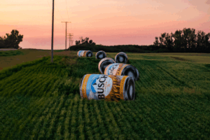 Eye-Catching Hay Bales Pop Up Near Saskatchewan Roads