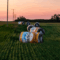 Eye-Catching Hay Bales Pop Up Near Saskatchewan Roads