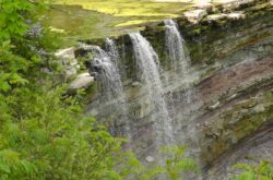 Must-Visit Nature Attractions & Hiking Trails in the Niagara Falls Region