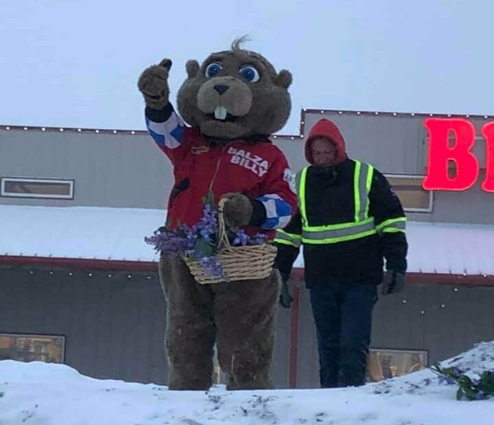 Groundhog Day Alberta Will Balzac Billy See His Shadow on Feb 2nd?