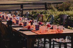 Bar OA: This Edmonton Area Farm Offers Moon Lit Dinners, U-Pick Flowers and Garden Parties