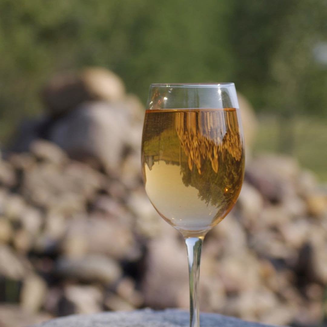 25 Fall Day Trips in and Around Edmonton To Do Canada