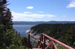 Hidden Hikes & Local Lore: This Hiking Experience Brings Stories and Scenery to Newfoundland's Great Northern Peninsula