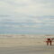 Blue Flag: Cleanest Beaches and Marinas in Canada - 2026