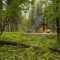 10 Best Places to Camp in Saskatchewan