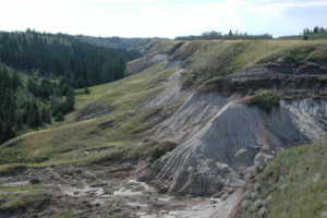 Best Hikes For Day Trips From Edmonton