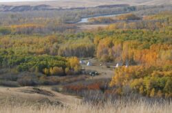 Blackfoot Crossing Historical Park: Explore, Learn and Comfort Camp at the Site of Treaty 7 Signing
