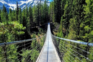 Day Trip From Calgary: Blackshale Suspension Bridge in Kananaskis Country