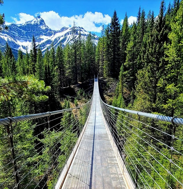 Day Trip From Calgary Blackshale Suspension Bridge in Kananaskis Country