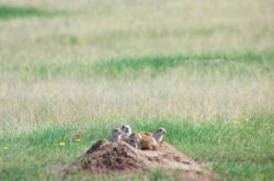 50 Things to Do with Teens in Saskatchewan