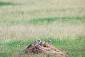 50 Things to Do with Teens in Saskatchewan