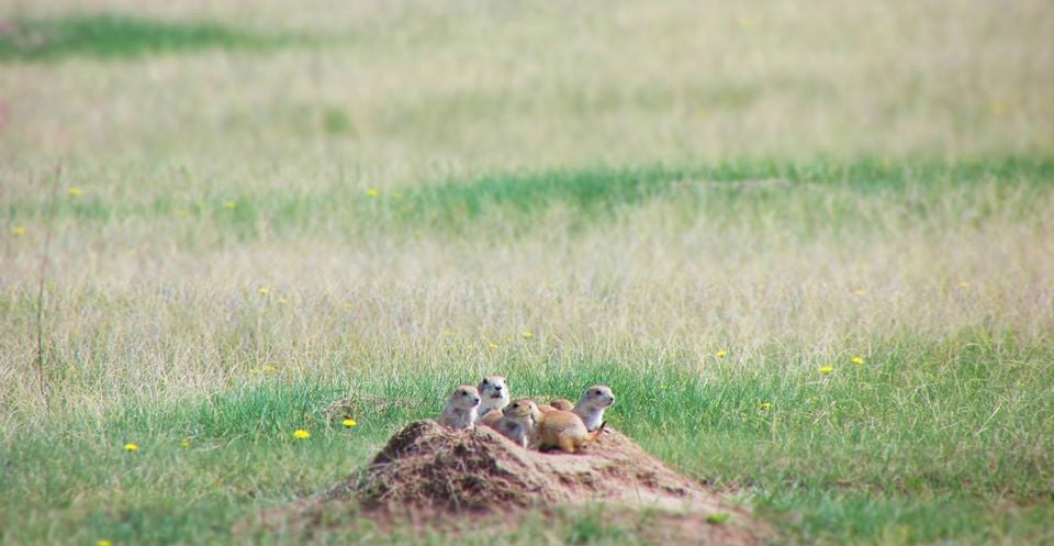 50 Things to Do with Teens in Saskatchewan
