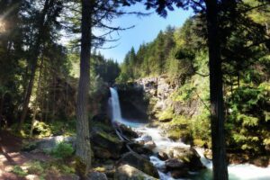 Blanket Creek Provincial Park: Explore the Best of the Kootenays at This Park Near Revelstoke