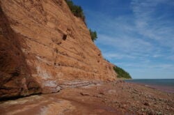 From Clifftops to Shoreline: Why You Should Visit Blomidon Provincial Park in Nova Scotia