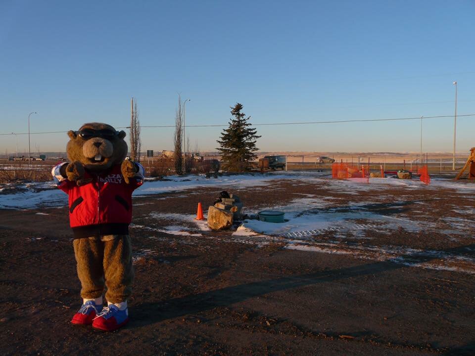 Groundhog Day 2024 Alberta's Balzac Billy Predicts Six More Weeks of