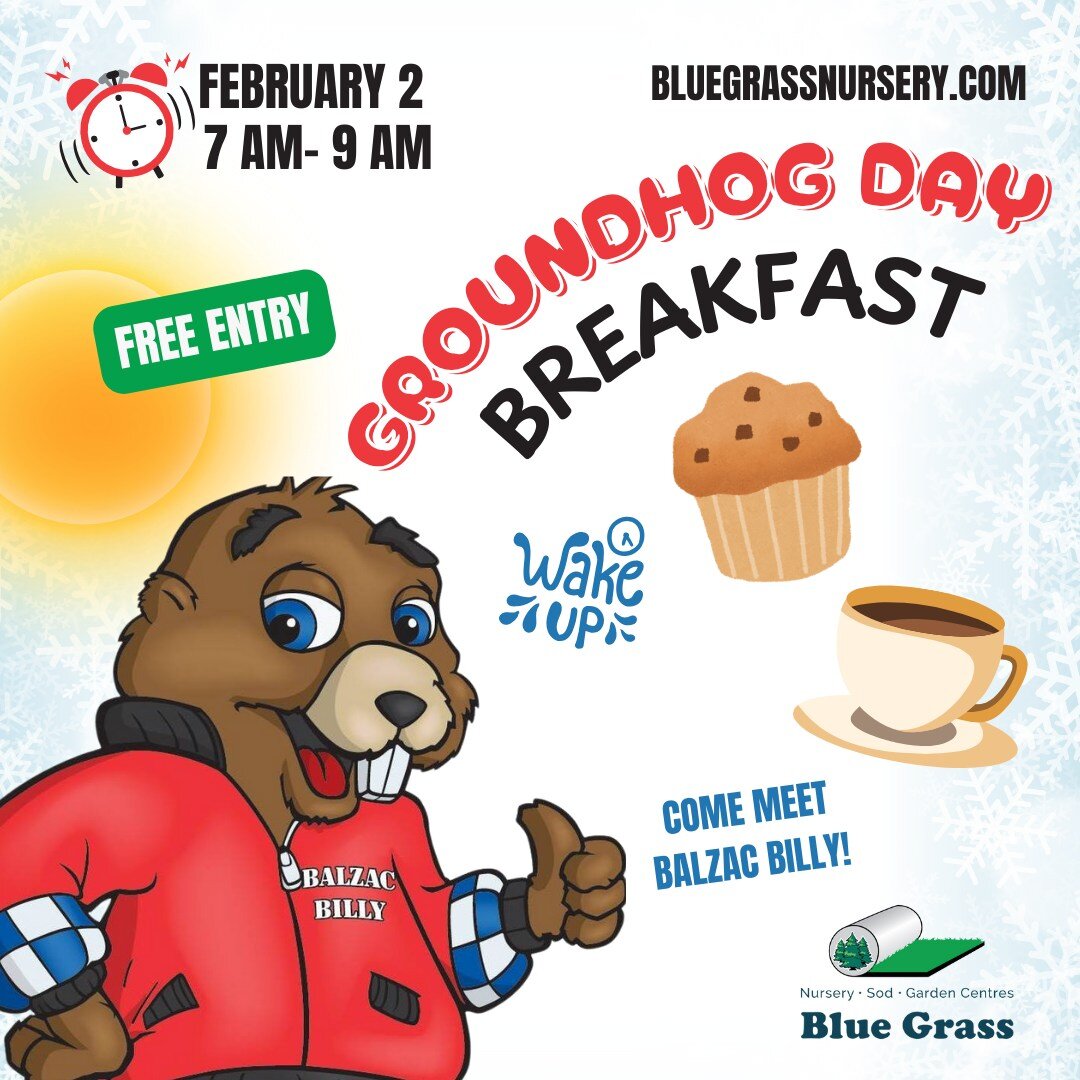 Groundhog Day Alberta Will Balzac Billy See His Shadow on Feb 2nd?