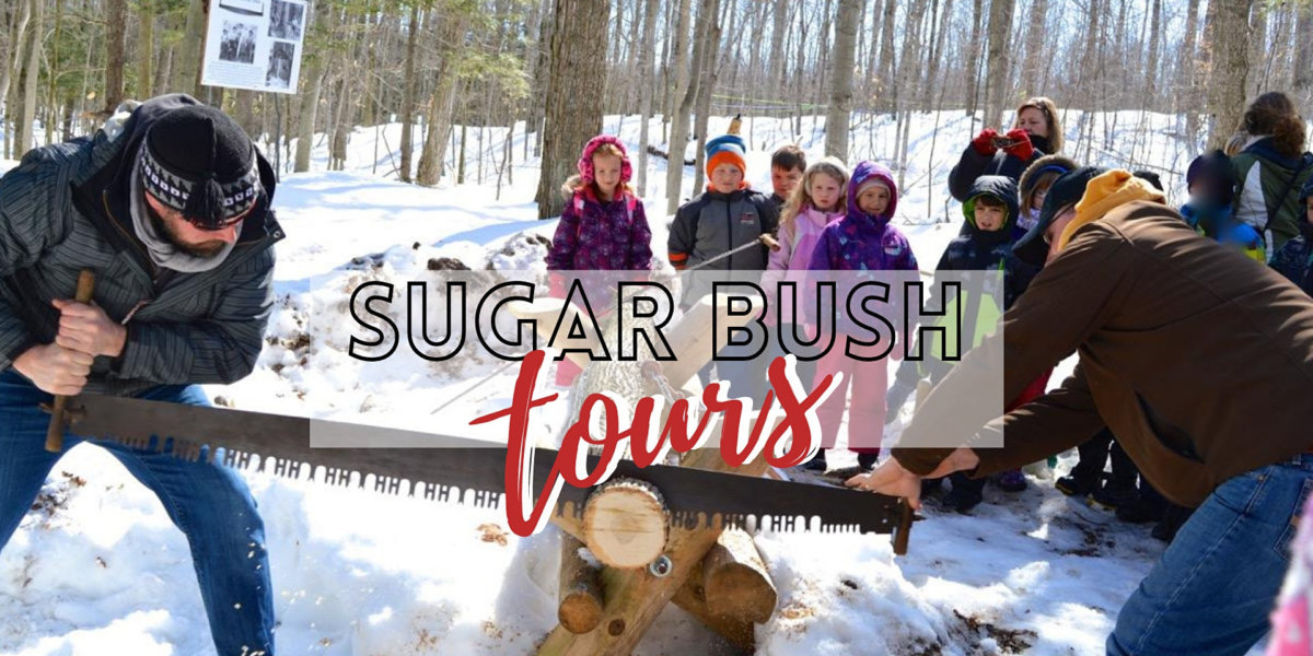 maple farm tours