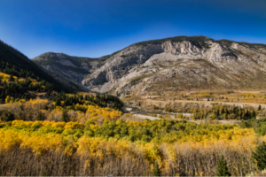 From Creeks to Peaks: Explore Bob Creek Wildland Provincial Park in Southwest Alberta