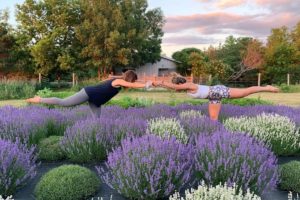 Things to Do This Summer in Durham Region