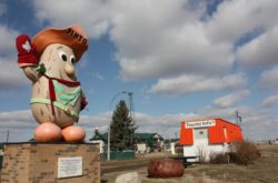 Alberta Town Fined, Failed to Report Malfunctions in Water Distribution System