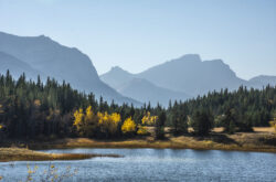 From Grotto Canyon to Barrier Lake: A Quick Guide to Summer Adventures at Bow Valley Provincial Park
