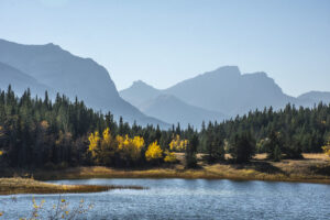 From Grotto Canyon to Barrier Lake: A Quick Guide to Summer Adventures at Bow Valley Provincial Park