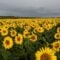 25 Day Trips South of Edmonton
