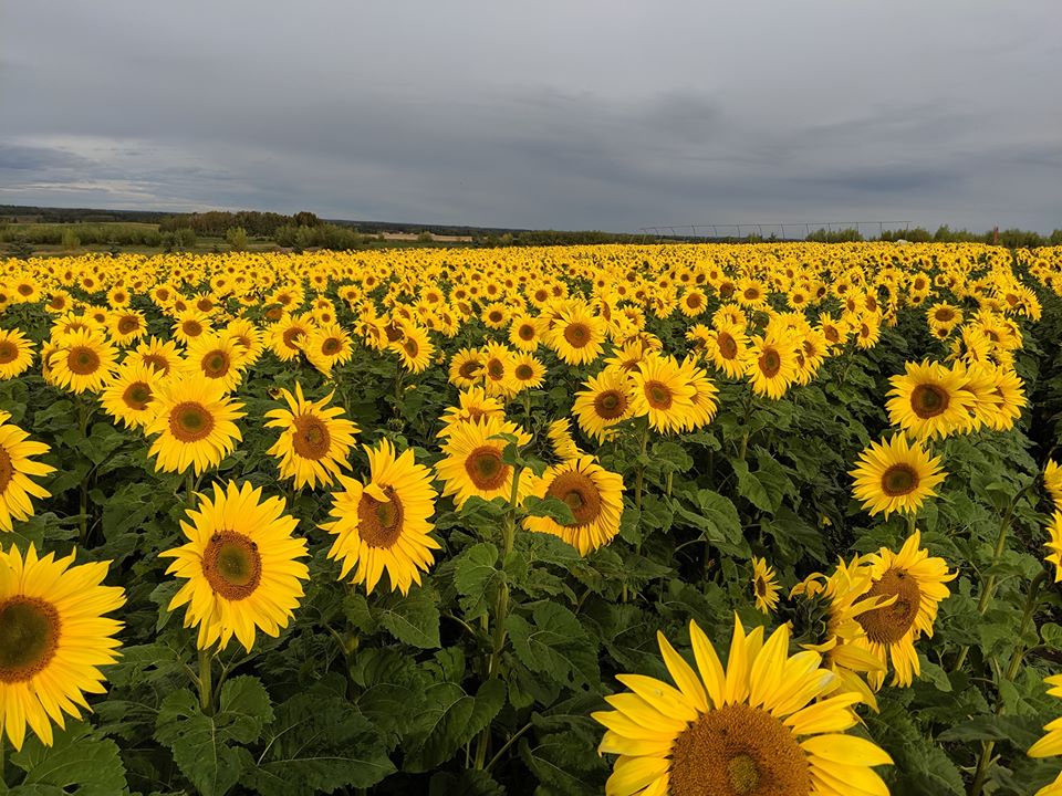 25 Day Trips South of Edmonton