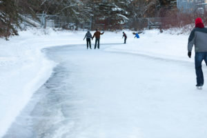 Things to Do in Calgary in January