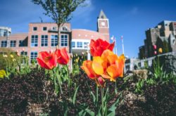 Brampton's Canada Day Celebrations & Fireworks Brampton's Canada Day Celebrations & Fireworks