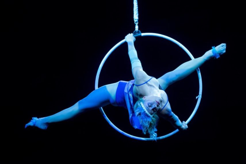 Bread and Circus by Firefly Theatre and Circus Online To Do Canada