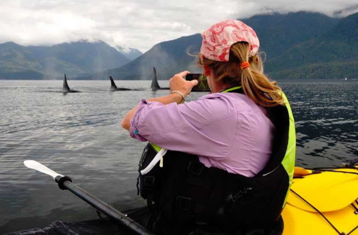 Ecosummer Expeditions