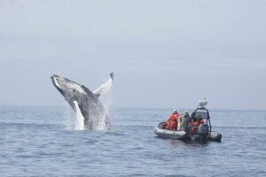 Outdoor Activities & Adventures During Summer in Digby County