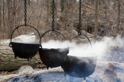 Spring into Fun at Bronte Creek Provincial Park - Maple Syrup Festival, Hikes and More