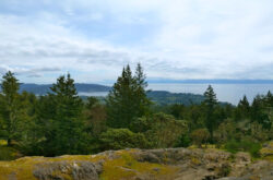 Discover Sooke: Where Rainforest Trails, Ocean Views, and Local Eats Make the Perfect Getaway