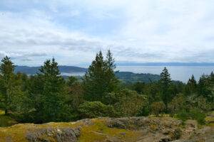 Discover Sooke: Where Rainforest Trails, Ocean Views, and Local Eats Make the Perfect Getaway