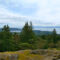 Discover Sooke: Where Rainforest Trails, Ocean Views, and Local Eats Make the Perfect Getaway
